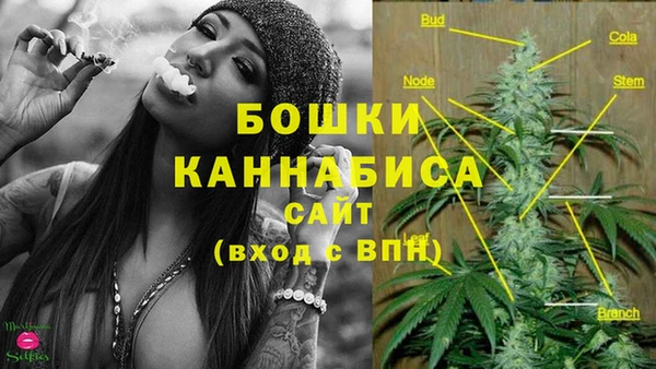 spice Баксан