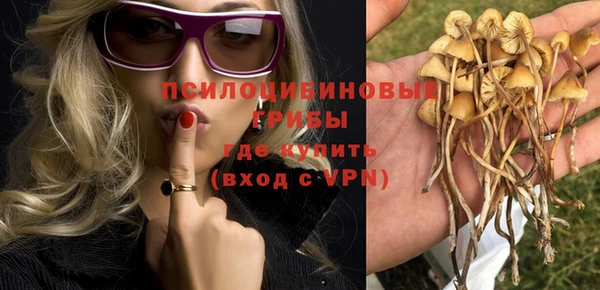 меф Вуктыл